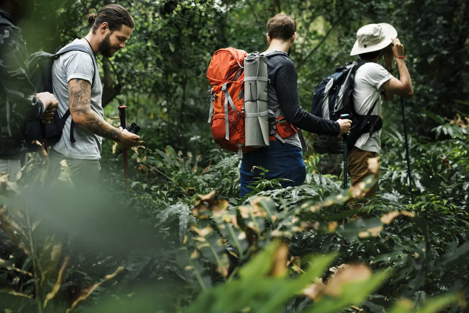 Grupo fazendo trilha de ecoturismo na mata
